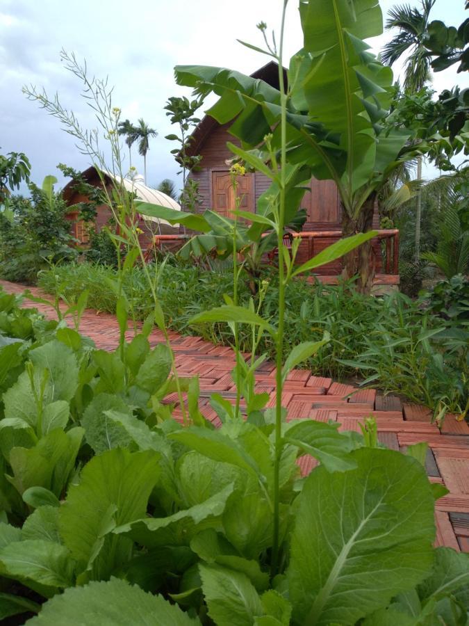 Hong Thai River Side Homestay Ben Tre Экстерьер фото