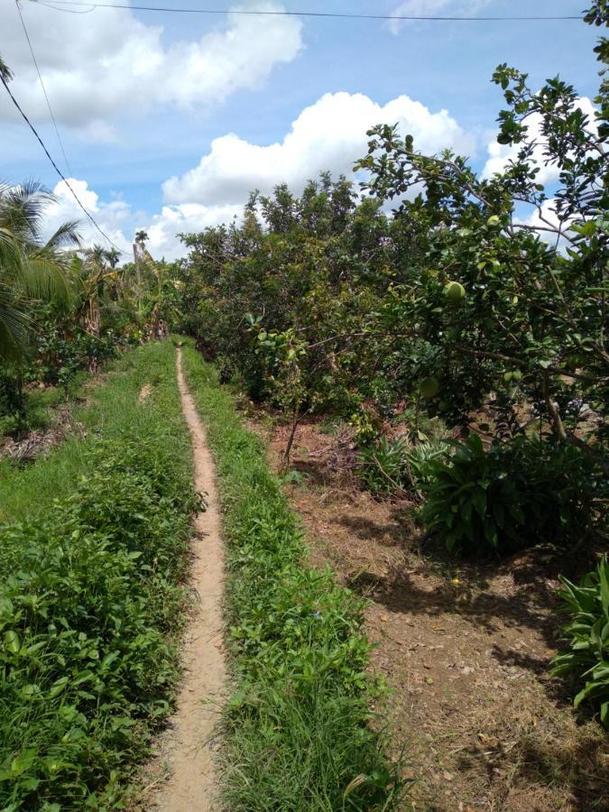 Hong Thai River Side Homestay Ben Tre Экстерьер фото